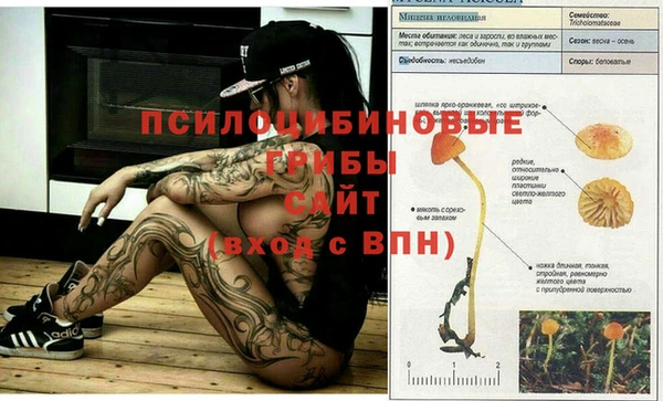 спиды Балахна