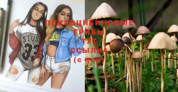 бошки Арсеньев