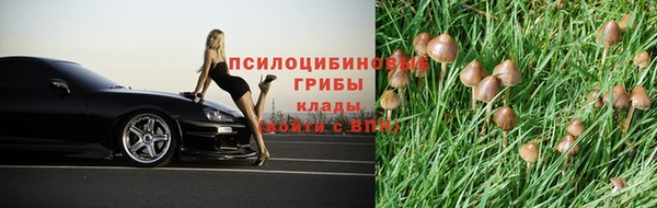 мескалин Аркадак