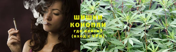 шишки Баксан