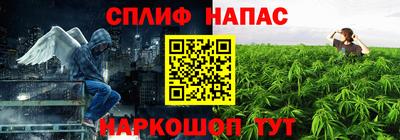 СК Донской