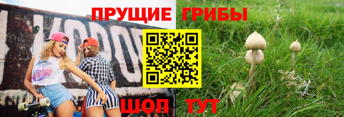 Мытищи  Галлюциногенные грибы мицелий  Вход с VPN 